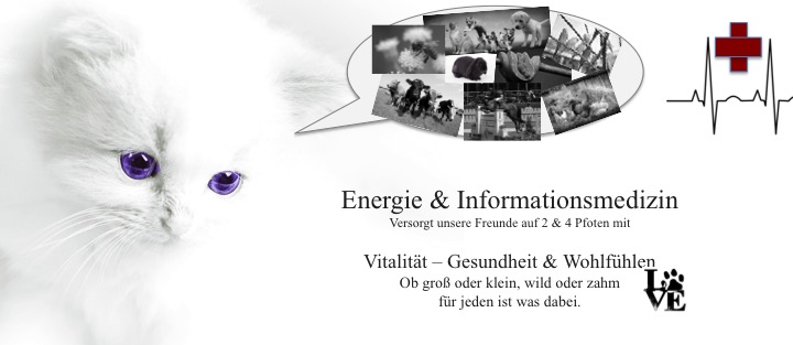 Energie & Informationsmedizin Tiere