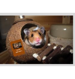 Hamster-Mehrschweinchen FORMEL DMT-HMT-1